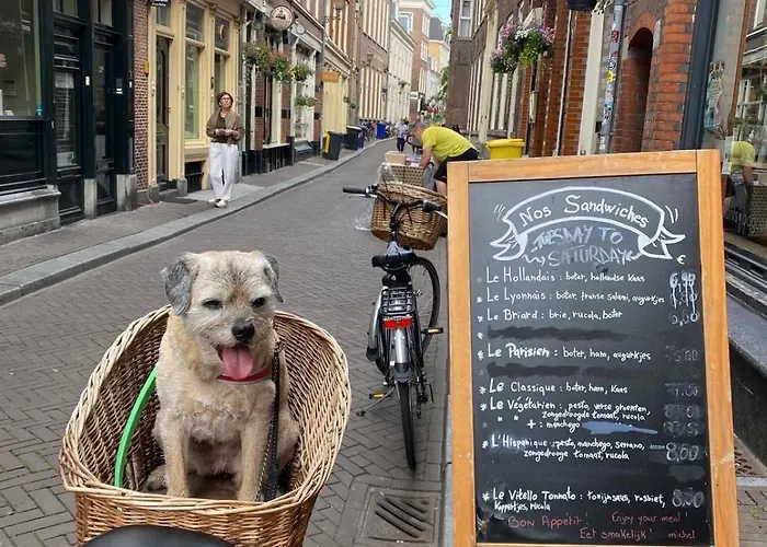 The Heritage - R.q.c. *